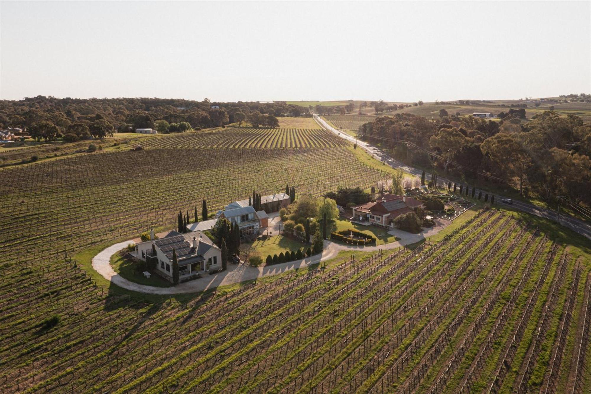Villa Barossa Shiraz Estate Lyndoch Esterno foto