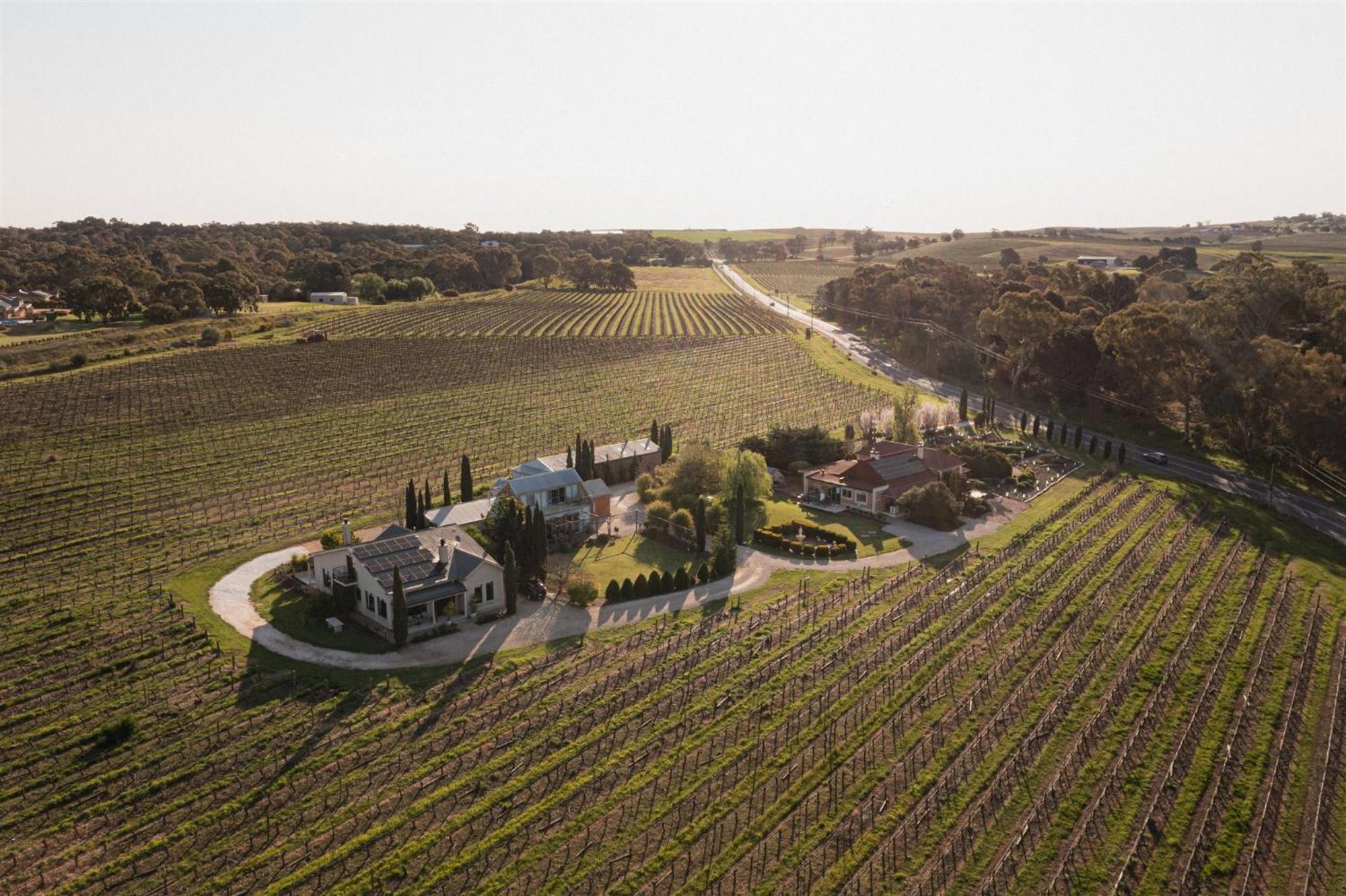 Barossa Shiraz Estate Villa Lyndoch Esterno foto