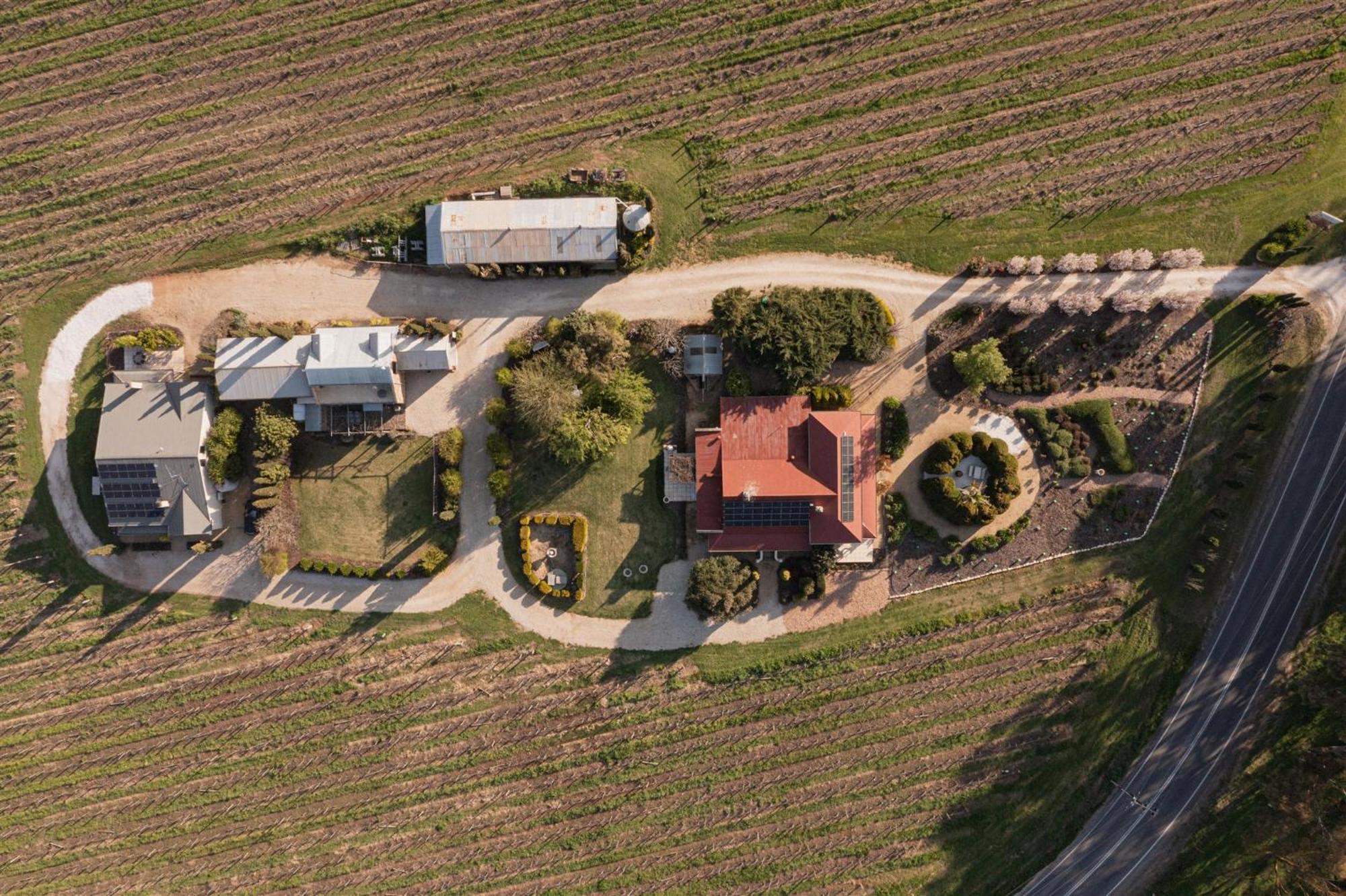 Villa Barossa Shiraz Estate Lyndoch Esterno foto