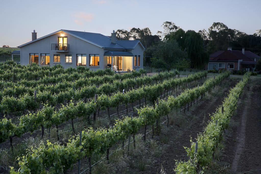 Villa Barossa Shiraz Estate Lyndoch Esterno foto