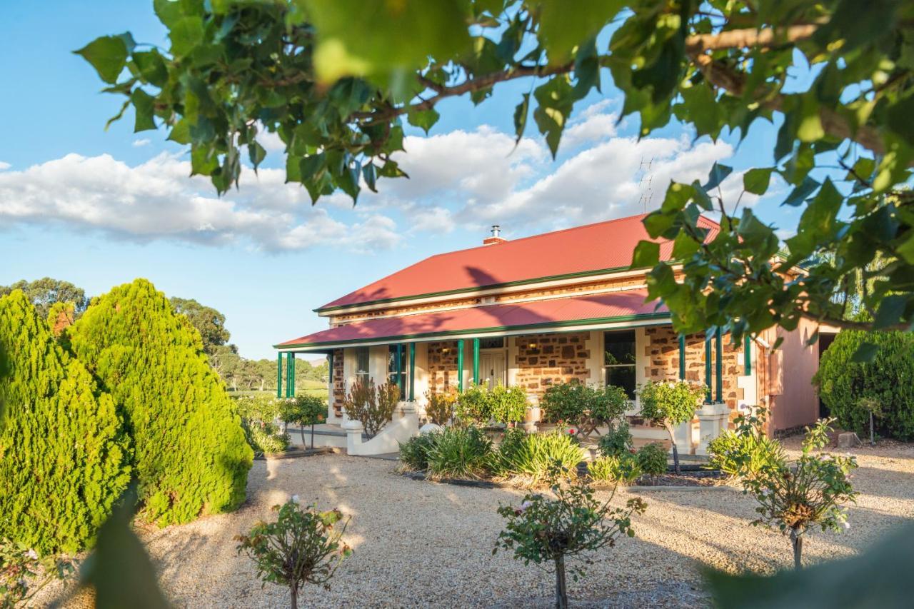 Villa Barossa Shiraz Estate Lyndoch Esterno foto